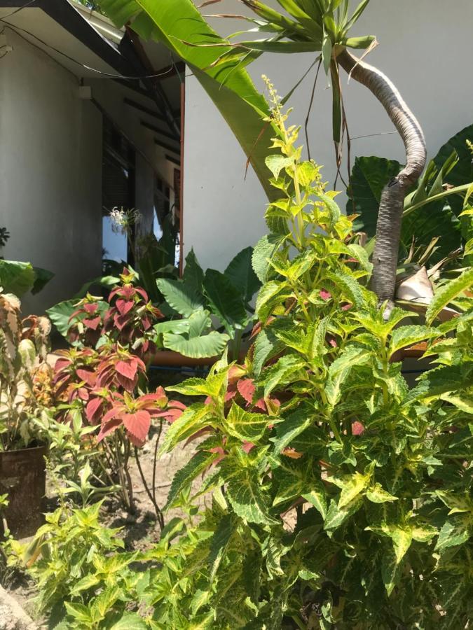 Balili Villas El Nido-Free Car & Driver During Stay Ngoại thất bức ảnh